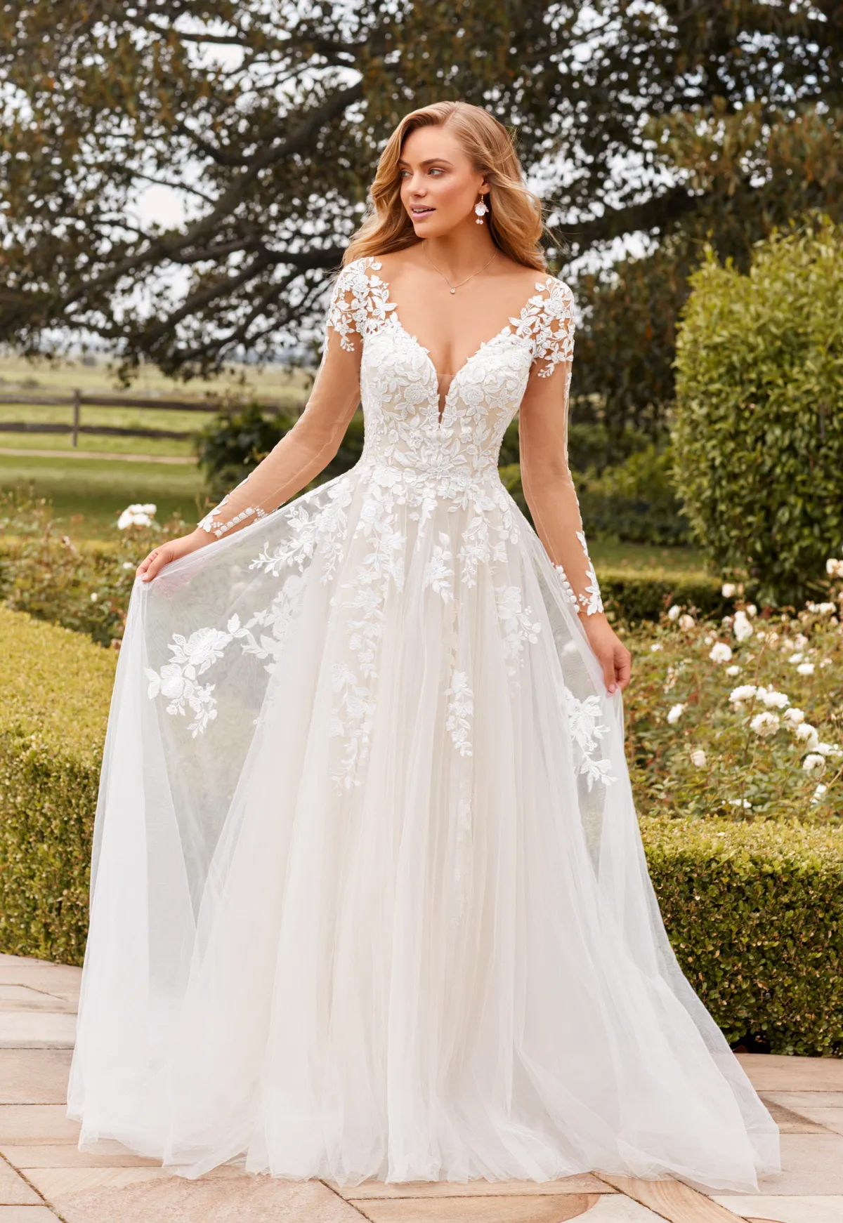 AMBROSE  — front view